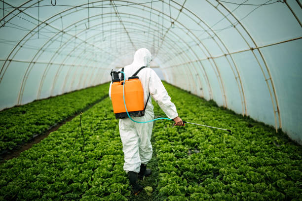 Best Pest Control Cost  in Christiana, TN