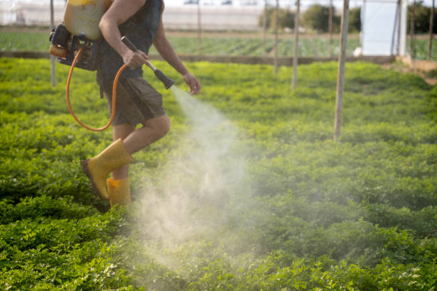 Professional Pest Control in Christiana, TN
