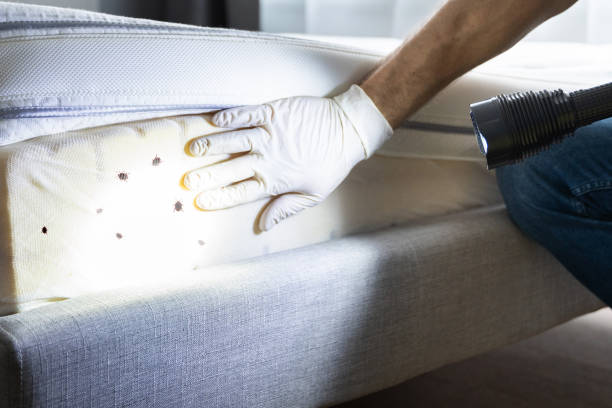 Best Cockroach Control Services  in Christiana, TN