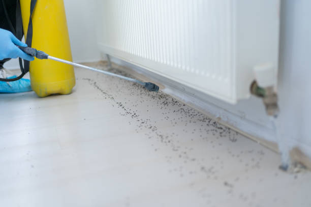 Best Affordable Pest Control Services  in Christiana, TN