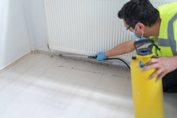 Best Affordable Pest Control Services  in Christiana, TN